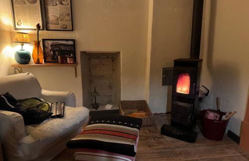 Südfrankreich bei Berlin - Photo 37