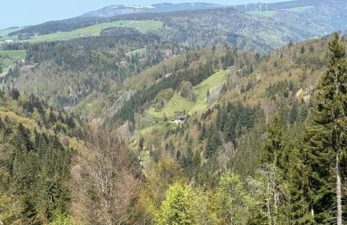 BergOase-Apart am Feldberg - Foto 52