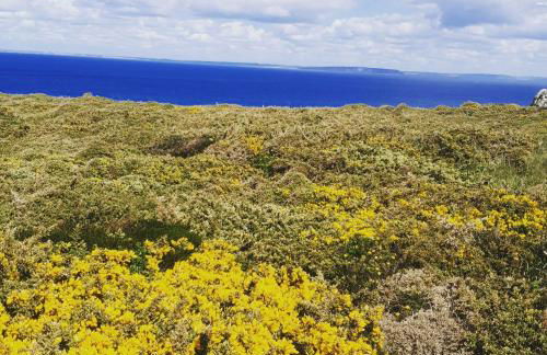 Chez Stella - Foto 44