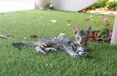 Villa Krina Rosa Aigio - Foto 28