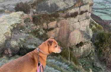 Dukes Well - Photo 46