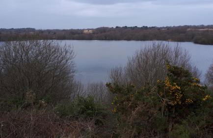 Gîte LES CHANTS DU CREPUSCULE - Foto 38