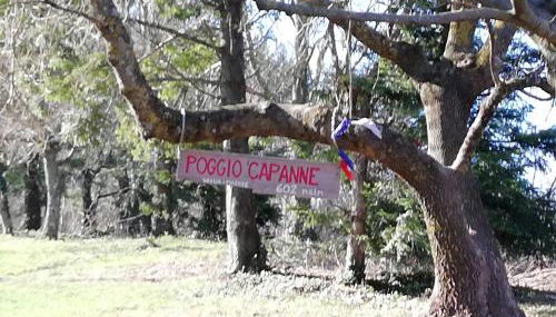 VILLA IL TRUFOLO - Foto 3