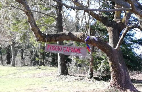 VILLA IL TRUFOLO - Foto 3