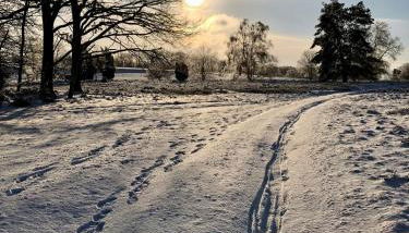 Ferienwohnung Heide View - Foto 2