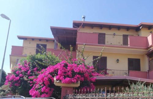 Gabbiano Jonathan - Foto 1