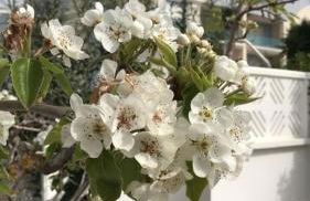 Casa Eucaliptus - Foto 42