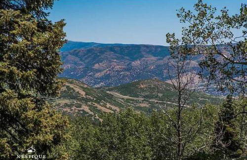 8992 STINGER DR DAVENPORT - Foto 8