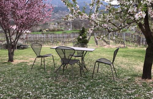 Chez Pépé Louis - Foto 6