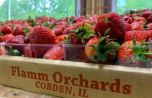 Luxury Log Cabin w Beach & Dock Sleeps 12 - Photo 59