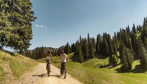 Apartment in Châtel near Barbossine Lift - Foto 4, Other