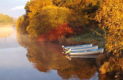 Belle Isle Castle and Cottages - Foto 16