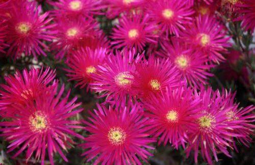 Charlton House - Foto 29