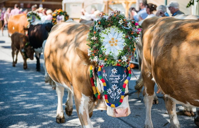 Apartment in Wald im Pinzgau Near Ski Slope - Foto 34