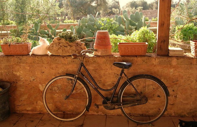 Masseria Provenzani - Foto 32