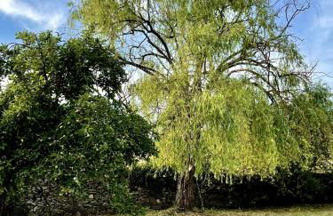 A Casa de Pia - Foto 13