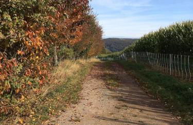 Freistehendes Haus im Nationalpark Gemünd mit E-bike Option! - Foto 49