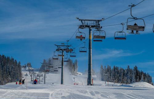 Domek RiverHut Małe Ciche - SkyWalk - blisko do szlaków TPN Wiktorówki, Rusinowa Polana , Gęsia Szyja , Brzeziny , Psia Trawka , Toporowa Cyrhla , Murowaniec , Hala Gąsienicowa - Foto 61
