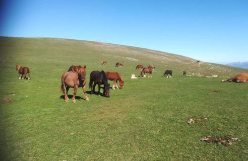 La scuola del castello località San Giovanni Spello - Photo 10
