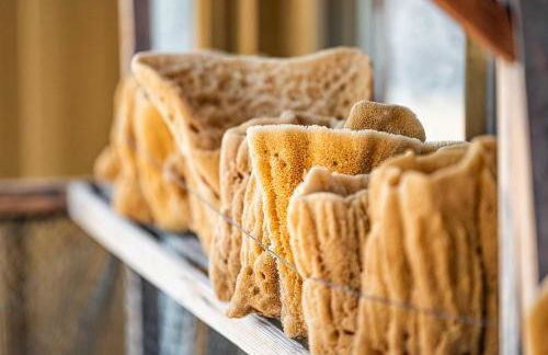 Luxury heated-pool home blocks from the beach - Foto 60