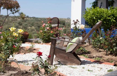 Herdade das Pintas - Foto 18