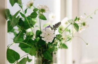 Historic Cottage + Modern Luxury • Walk to Capitol - Foto 29