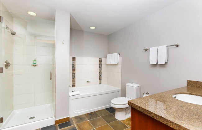 Capitol Peak Lodge by iTrip Aspen Snowmass - Foto 117