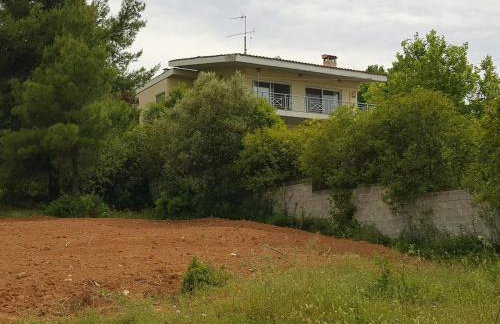 Beachfront House Villa 35min from Athens - Foto 33