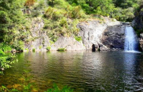 CASA DA ESCOLA - Foto 19