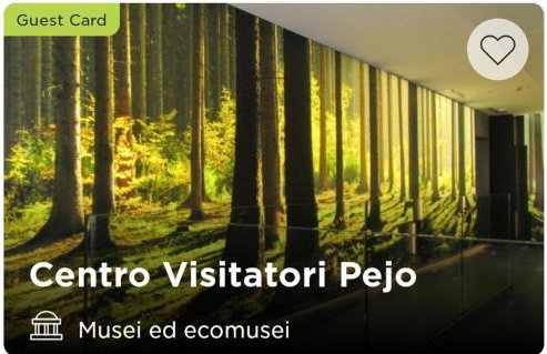 Chalet Migazzi - Foto 28