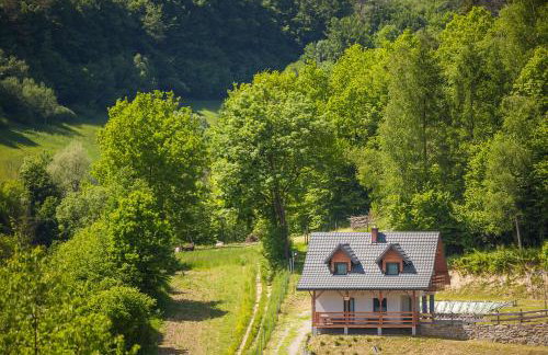 Domek Pod Laskiem - Foto 7