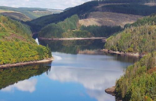 The Haven - Photo 29