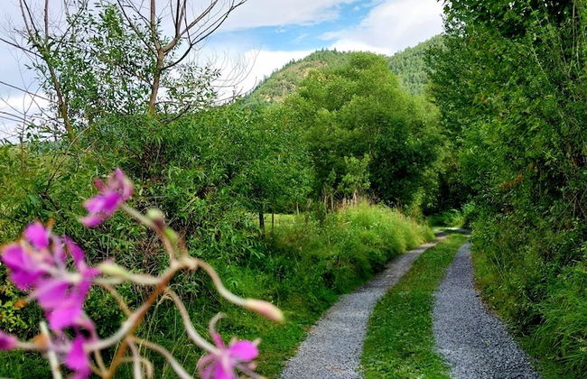 Rustic Wild Retreat IN Romania - Foto 51