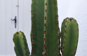 Aidos Villa Santorini - Foto 26