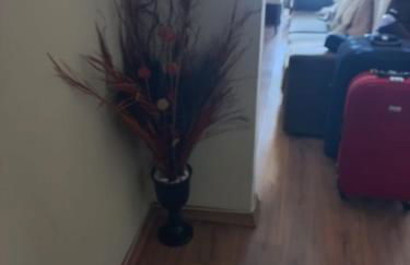 Apê com linda vista do Rio e ótima localização - Foto 13