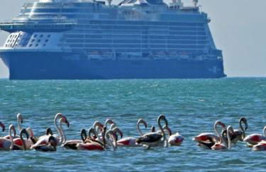 House with sea breeze-Anemelia - Photo 6