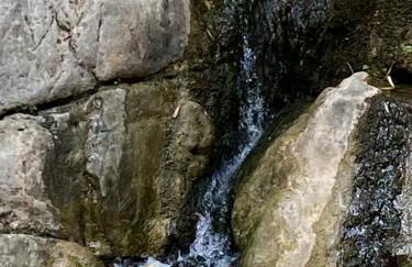 La casa del león dormido - Foto 57