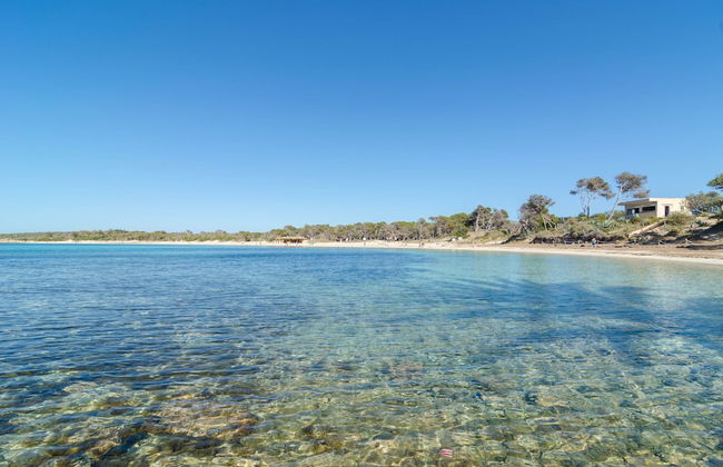 Son Vigili in Campos - Foto 18