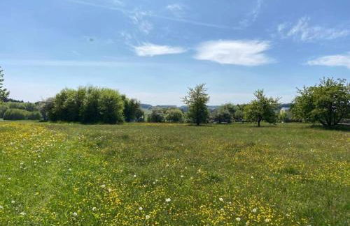 Das Kuenstlerhaus in Kammerstein - Photo 42