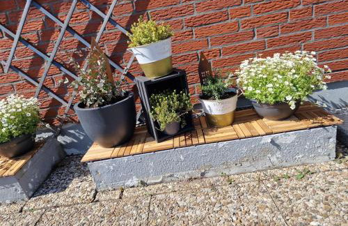 Haus-Fehmarn-am-Dorfteich-|-Wohnung-2-West - Foto 16