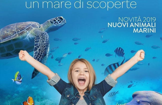 Agriturismo Campo al Sole - Foto 43