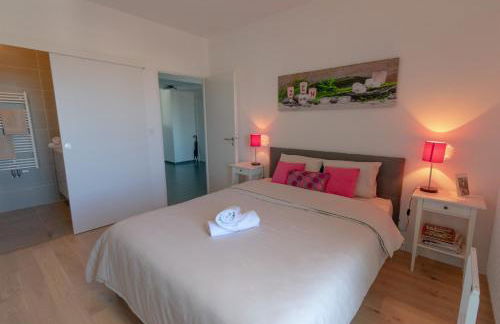 Appartement 90m2-Roof Top privé 100m2-Parking privé-Clim mobile - Foto 5