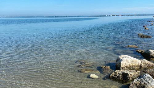 MedusaBlu121 - Photo 4