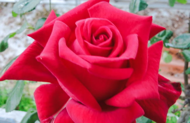 La Finestra sul Colle - Foto 70