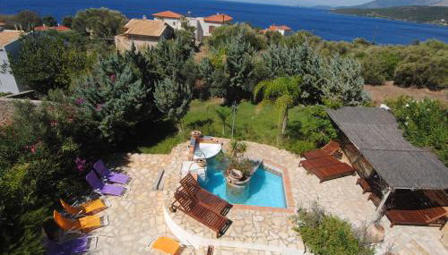 Villa Sofia - Photo 1, Garden