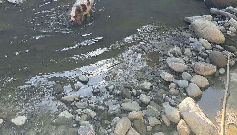 Esplorando i dintorni