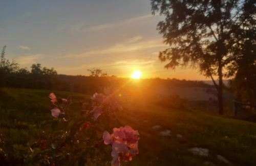 mansio maritima - Foto 12