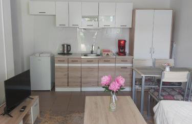 Leśne Zacisze Kretowiny 88 nad jeziorem Narie z własnymi pomostami apartamenty sezonowe lato - Foto 48