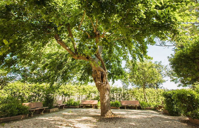 Il Casale di Donoratico con piscina - Foto 1