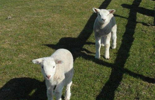Op-England-I-mit-Terrasse-grossem-Garten - Foto 22